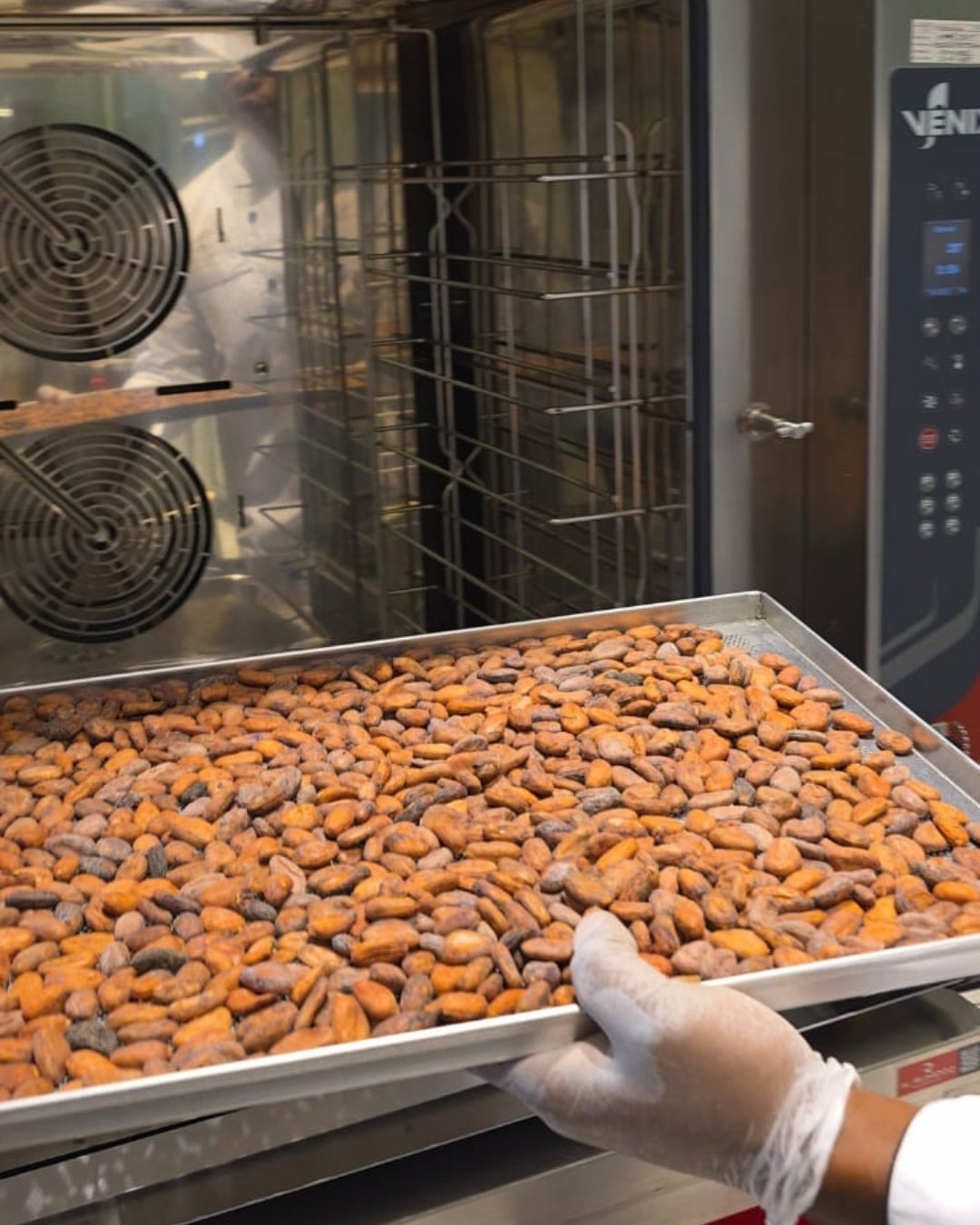 Discover Pure Bean-to-Bar Chocolate in the UAE